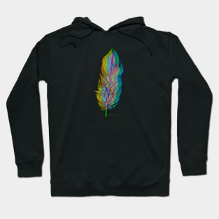 Feather Glitch #1 Hoodie